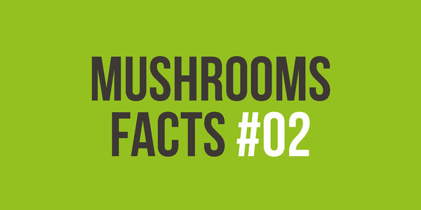 [MUSHROOM FACTS #02] Boost the immune system
