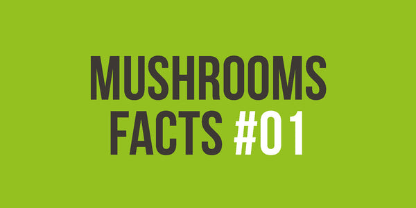 [MUSHROOM FACTS #01] Source of vitamins and minerals