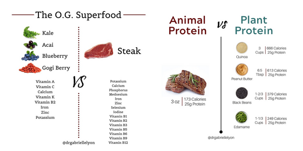 Animal vs. vegetable protein [science vs. feelings] PART 1