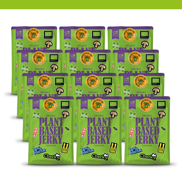 PACK 12 · ECO · plant based jerky · TERIYAKI